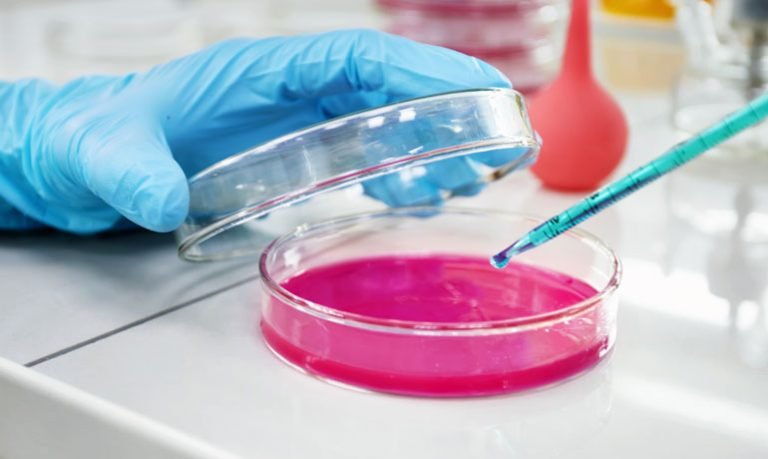 How Heavy Metal Contamination Happens and We Get Exposed
