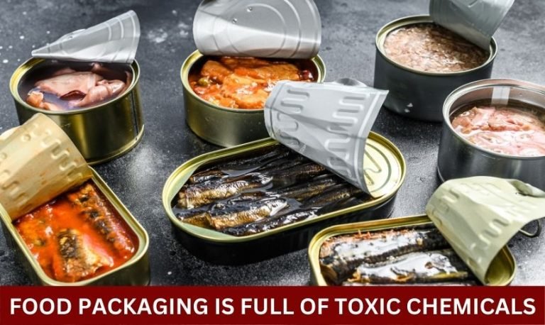 Food packaging is full of toxic chemicals