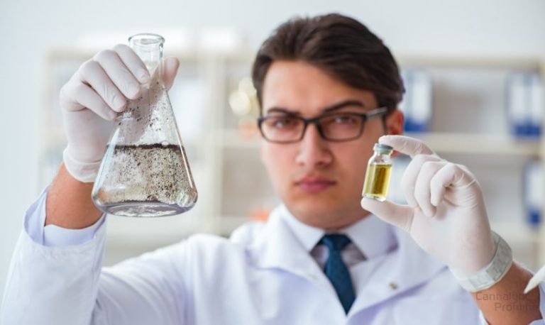 Why testing drinking water quality matters?